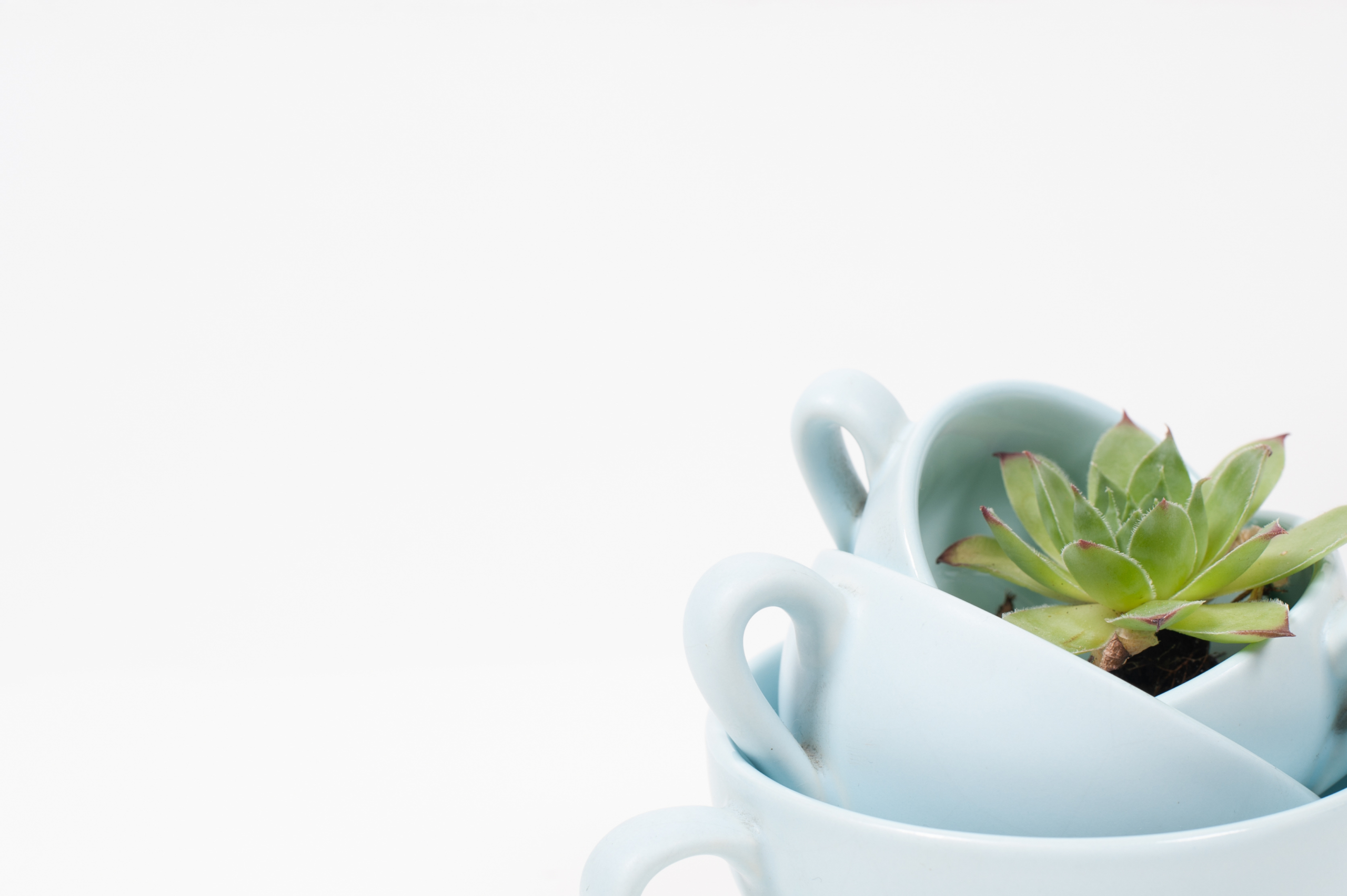 The Hail Mary pass that changed my marketing game (and yours) forever