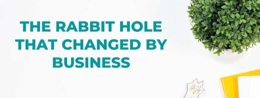The rabbit hole that changed by business